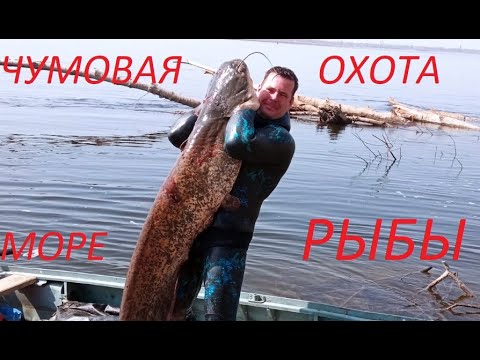 Видео: Здесь тонны рыбы!Сом на 40кг Амур на 20кг!Подводная Охота 2021