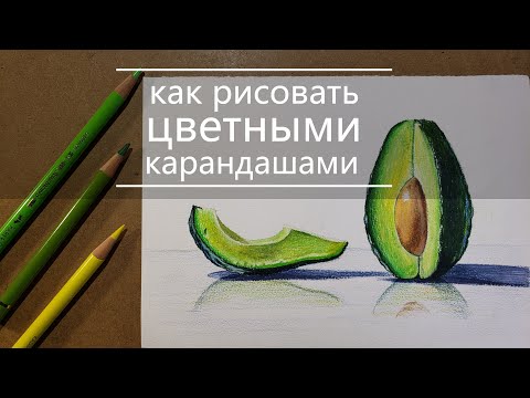 Видео: Как рисовать цветными карандашами | натюрморт с авокадо