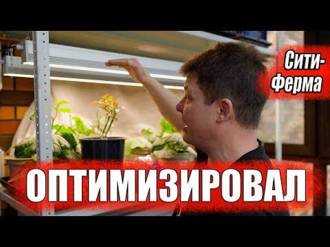 Видео: Не делайте таких ошибок при выращивании рассады. Все про стеллаж для рассады