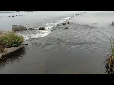 Видео: Рефтинское водохранилище. Залив дирекция , холодный канал , старый сброс .