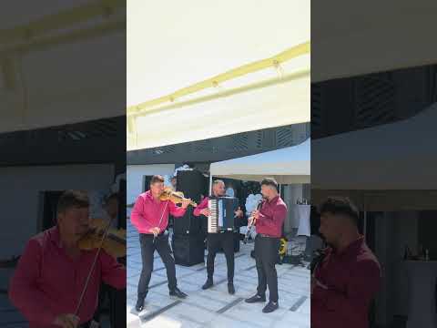 Видео: Георги Янев и орк. Орфей. Grande Maestro. Georgi Yanev.