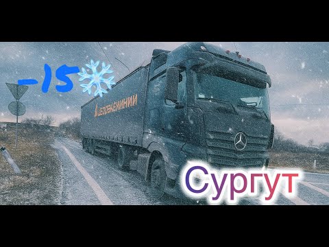 Видео: СУРГУТ: ДЛЯ МУЖИКОВ #ПОКОРЯЕМ СЕВЕР #ПОГНУЛИ БОРТ НА ВЫГРУЗКЕ #деловыелинии #mytruck #mercedesbenz