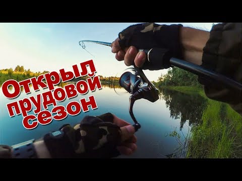 Видео: Трудовой спиннинг, или как ловить в бесклёвье | Первая рыбалка на пруду