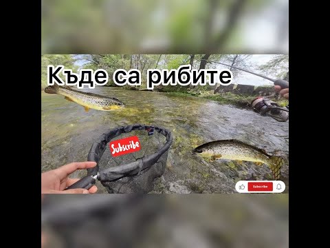 Видео: Бърз риболов на пъстърва по река Въча