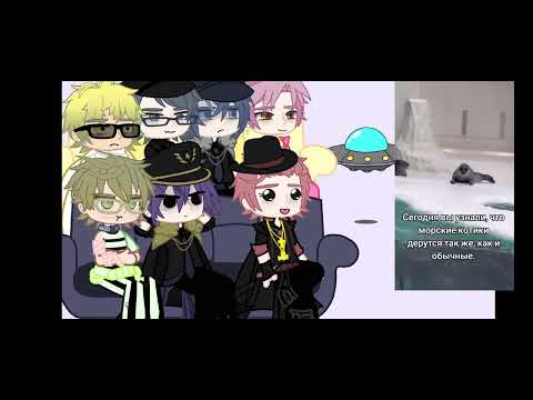 Видео: реакция Дункель 13 карт на т/и (´ω`)