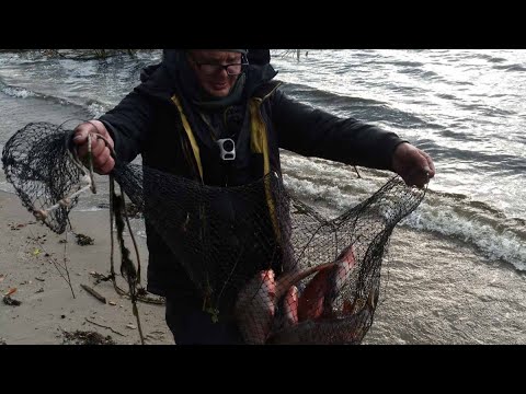 Видео: #рыбалка #фидер #днепр  Рыбалка на фидер в конце октября. Лещ в сильнейший ветер.