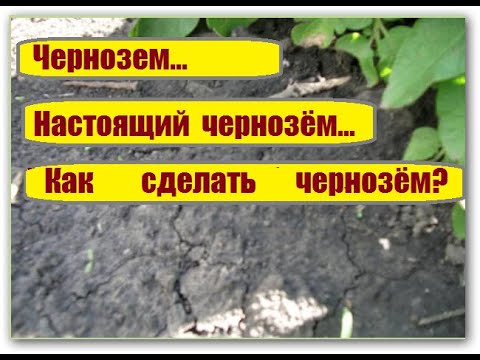 Видео: 171_Чернозём!   Возможно вы этого не знали...