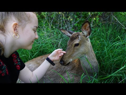 Видео: Едем в горы "Eco Village Kaskasu"