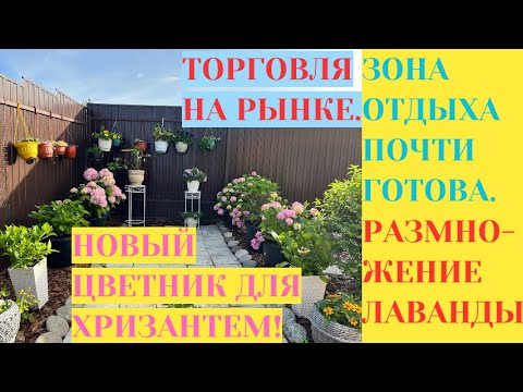 Видео: ТОРГОВЛЯ НА РЫНКЕ / ОФОРМЛЕНИЕ РУЧЬЯ / НОВЫЙ ЦВЕТНИК ДЛЯ ХРИЗАНТЕМ / РАЗМНОЖЕНИЕ ЛАВАНДЫ