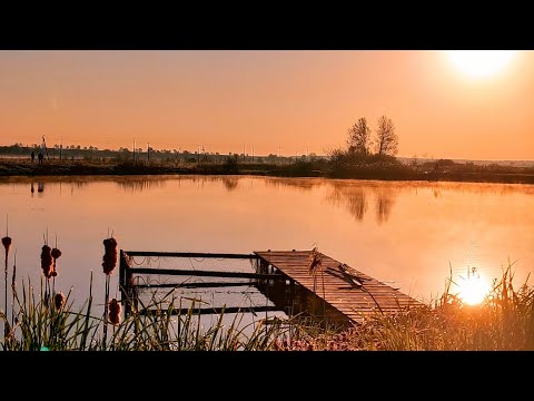 Видео: Проект оренда ставка 2(перший ставок)
