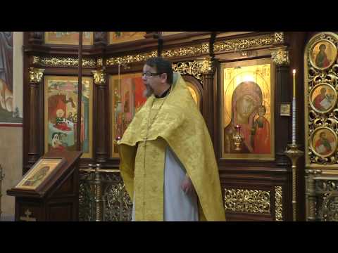 Видео: Проповедь о. Константина Корепанова в Неделю 3-ю по Пятидесятнице