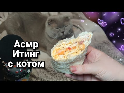 Видео: Асмр 🌯ИТИНГ С КОТОМ ХРУСТЯЩАЯ ШАУРМА🌯 Вкусный мукбанг шаурмы | Asmr iting mukbang shawarma