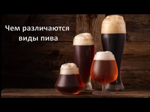Видео: Чем различаются виды пива