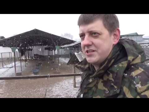 Видео: Визит на ферму "Хуторок" в алматинской области