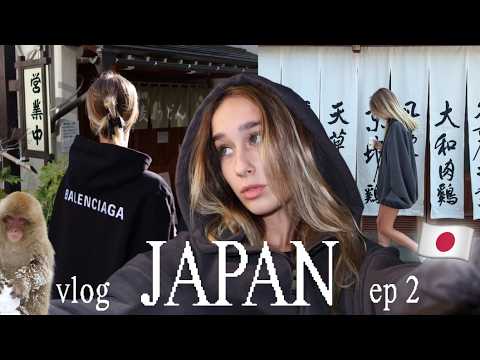 Видео: улетела в Японию на месяц VLOG🇯🇵 гора Фудзи & снежные обезьяны 🗻