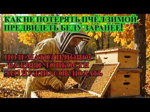 Видео: Как не ПОТЕРЯТЬ 50% ПЧЕЛЫ ВО ВРЕМЯ ЗИМОВКИ предвидеть НОЗЕМАТОЗ ПОНОС РАМКИ С ПЕРГОЙ НУЖНЫ? ☝️🐝🐝