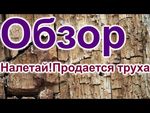 Видео: Рина Пиантанида.Как продать неподлежащее продаже.Термитник за 145тыс $