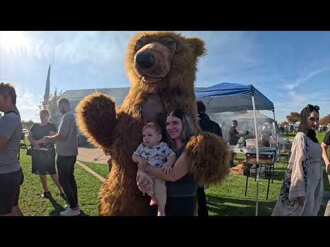 Видео: VLOG 798 [4K] USA. CA. ROCKLIN. ПИКНИК города Добра. 11/8/ 25