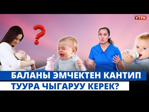 Видео: Баланы кантип  жеңил эмчектен чыгарса болот?