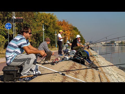 Видео: Безплатен риболов на Гребната база