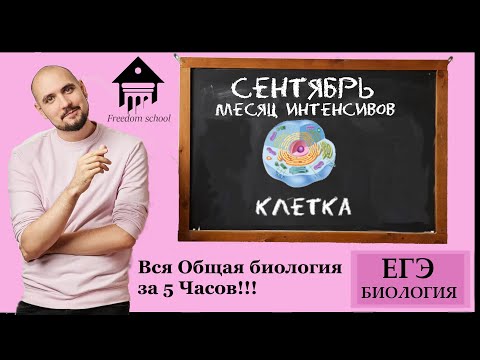 Видео: Вся ОБЩАЯ БИОЛОГИЯ за 5 ЧАСОВ! |ЕГЭ БИОЛОГИЯ|Freedom|