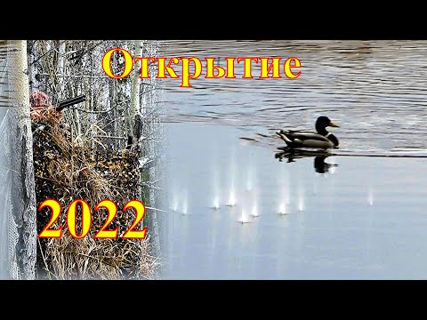 Видео: Весеннее открытие 2022