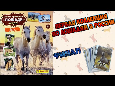 Видео: PANINI Альбом "Самые красивые лошади мира" 2023г. Обменные наклейки. Финал