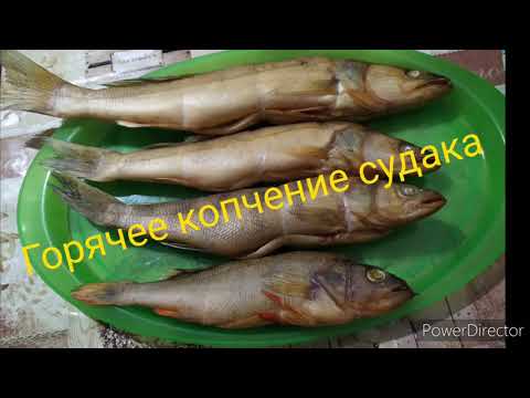 Видео: Горячее копчение судака в деревянной коптильне!