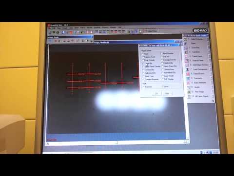 Видео: Расчёт концентрации ДНК в пробе методом гель-электрофореза в программе "Quantity One". С.Тюленев