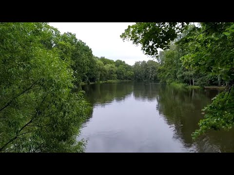 Видео: Санкт-Петербург пешком. Елагин остров - Центральный парк культуры и отдыха | август 2020