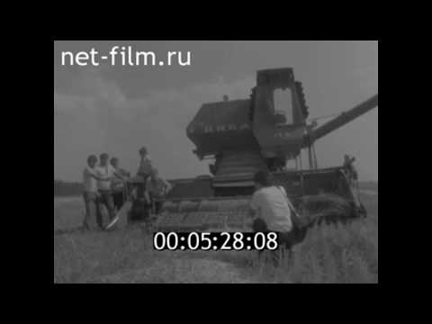 Видео: 1984г. с. Яшалта колхоз Новый мир Яшалтинский район Калмыкия
