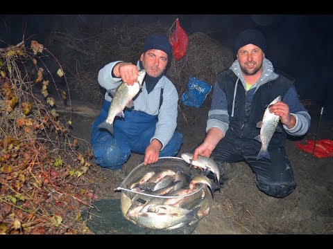 Видео: За скобари и морунажи в мъглата (река Тунджа) - част 2