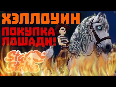 Видео: ПОКУПКА НОВЫХ ЛОШАДЕЙ! | ХЕЛЛОУИН 2021 | Как собрать все тыквы? | Star Stable