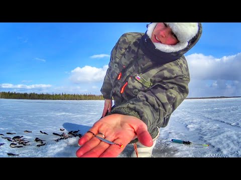 Видео: На этом озере куча рыбы КЛЮЕТ КАК ИЗ ПУЛЕМЕТА Пробую новые блесны Russian fishing