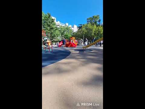 Видео: Прямая трансляция Вниз Головой