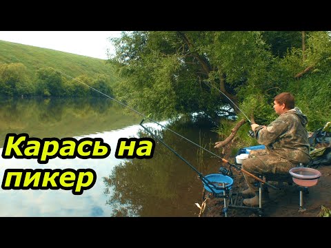 Видео: Ловля карася на пикер и фидер. Рыбалка на реке Сосна в живописном месте