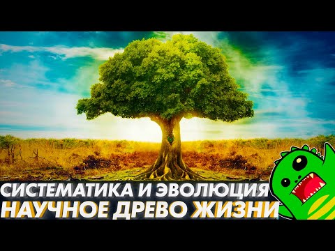 Видео: НА ПАЛЬЦАХ О ДРЕВЕ ЖИЗНИ: КАК ИЗОБРАЗИТЬ ХОД ЭВОЛЮЦИИ? | Доказательства эволюции