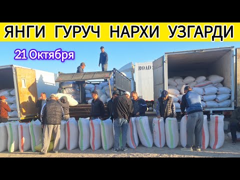 Видео: ЯНГИ ГУРУЧ НАРХИ ХОРАЗМ ОПТОМ ГУРУЧ БОЗОРИ 21 ОКТЯБРЯ 2025-ЙИЛ