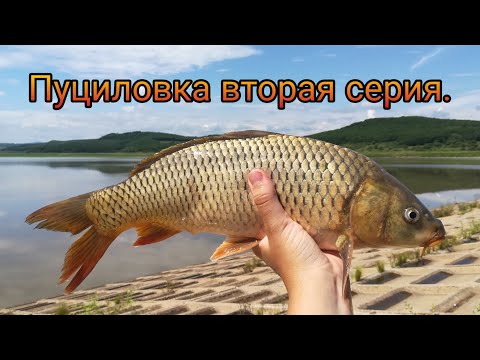 Видео: Жирные Сазаны и Караси. Рыбалка на Пуциловском Водохранилище. Второй Выезд.