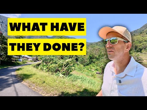 Видео: Они превращают Амед в Чангу. И это работает.