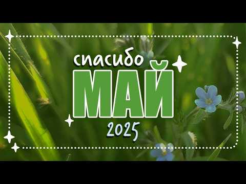 Видео: ✦ живу как могу целый май ✦ наблюдения за изменчивостью ✦