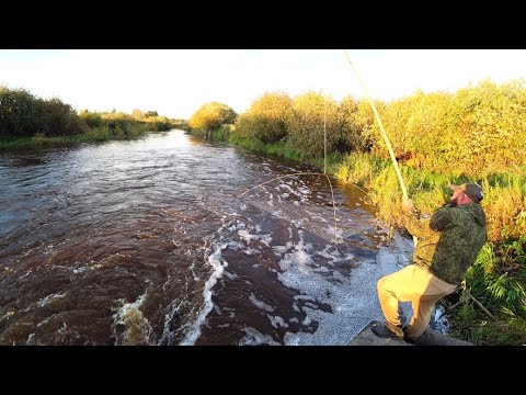 Видео: Рыбалка на накрывушку, с маленькой лодки.