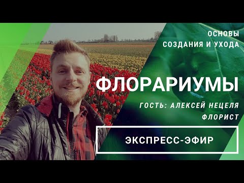 Видео: Прямой эфир «Флорариумы: основы создания и ухода» // 11.07.2020