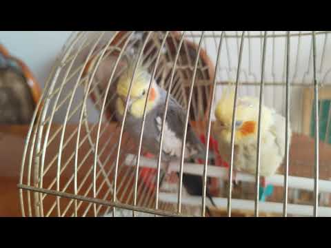 Видео: 30 октября 2025 г.