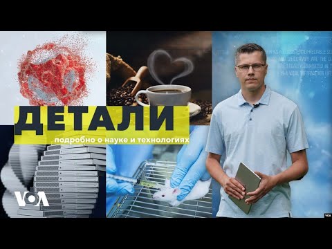 Видео: Как ультразвук может вылеличить рак?  | «Детали»