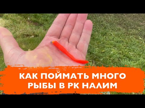 Видео: #26 ОТКУДА СТОЛЬКО СИЛ В ЭТОЙ РЫБЕ? РЫБАЛКА НА ФОРЕЛЬ В РК НАЛИМ. ПОКЛЕВКИ НА РЕЗИНУ НА СТРУЕ.