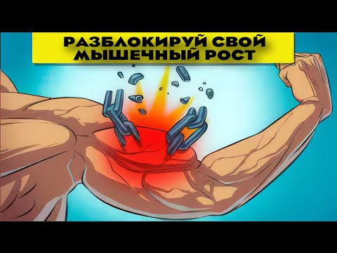 Видео: Сколько подходов и повторений надо делать, чтоб быстро накачаться #тренировка #sports #спорт #sports