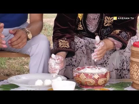 Видео: Түйе сүтінен қандай өнімдерді алуға болады? «Көшпенділер мектебі»