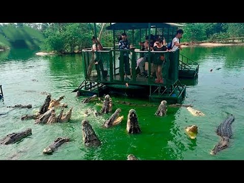 Видео: 15 Опасных мест на планете которые вы захотите посетить