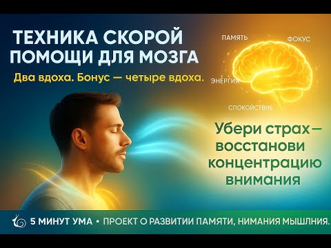 Видео: Техника победителей! Спасает на экзамене, встрече и в жизни — ДВА ВДОХА 💨